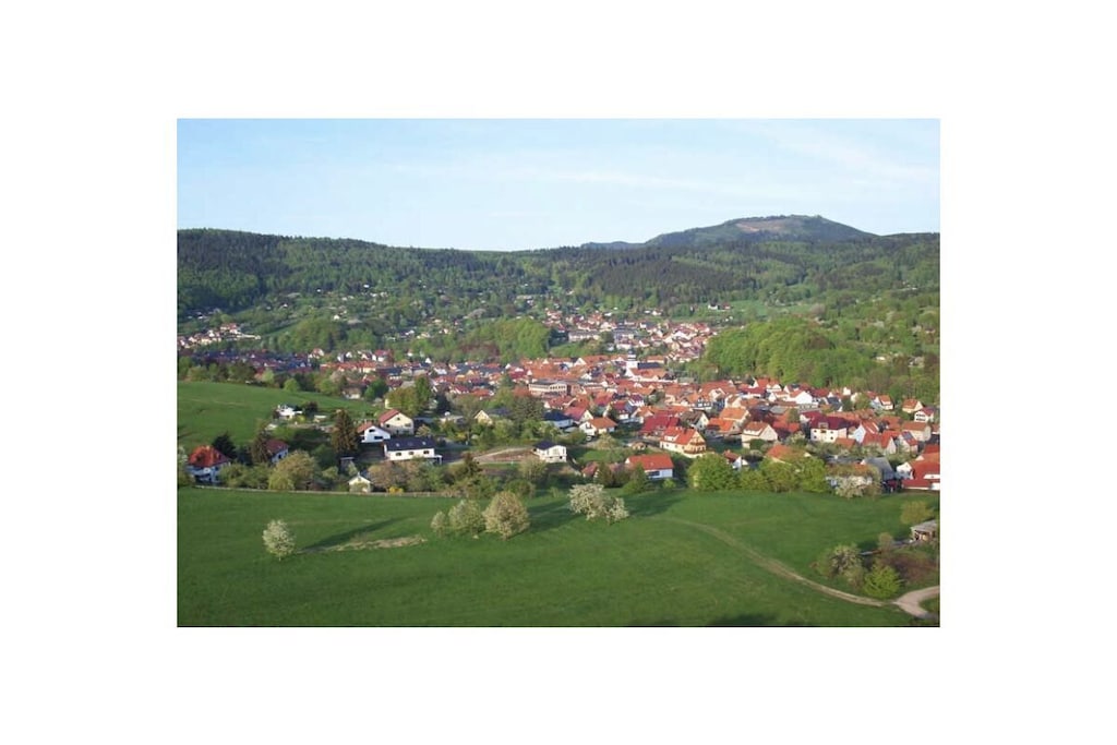 313658 - Nicht zugeordnet