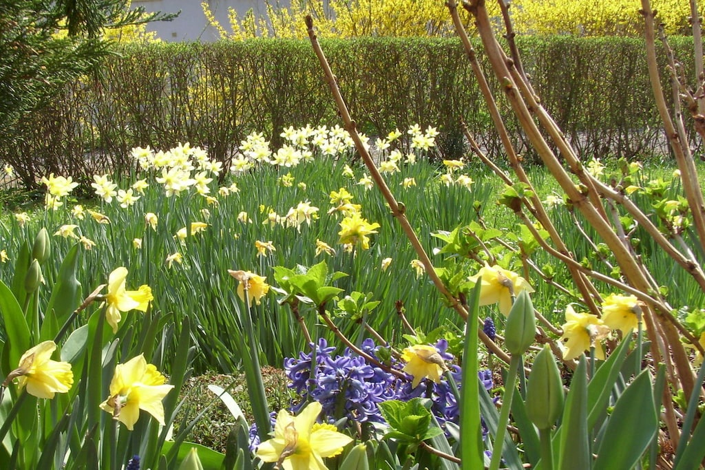 41691 - Niet-getagd