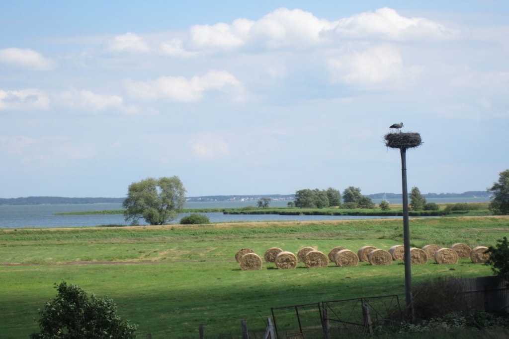 68733 - Niet-getagd
