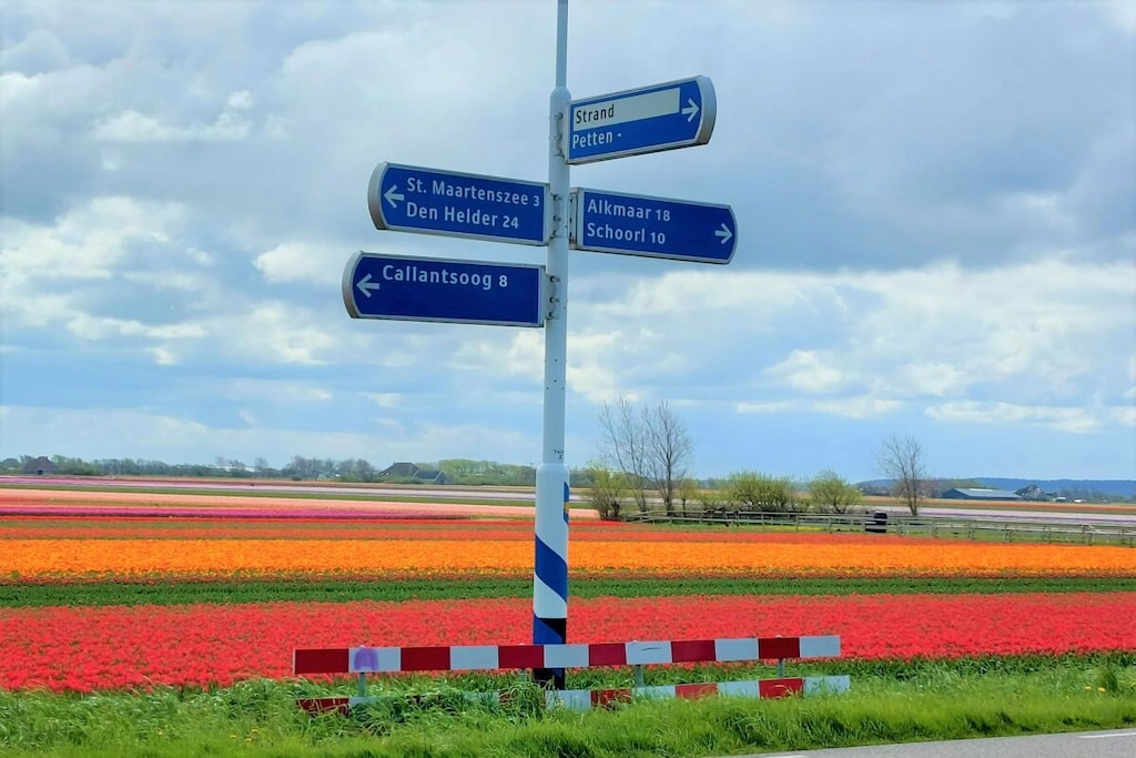 447631 - Niet-getagd
