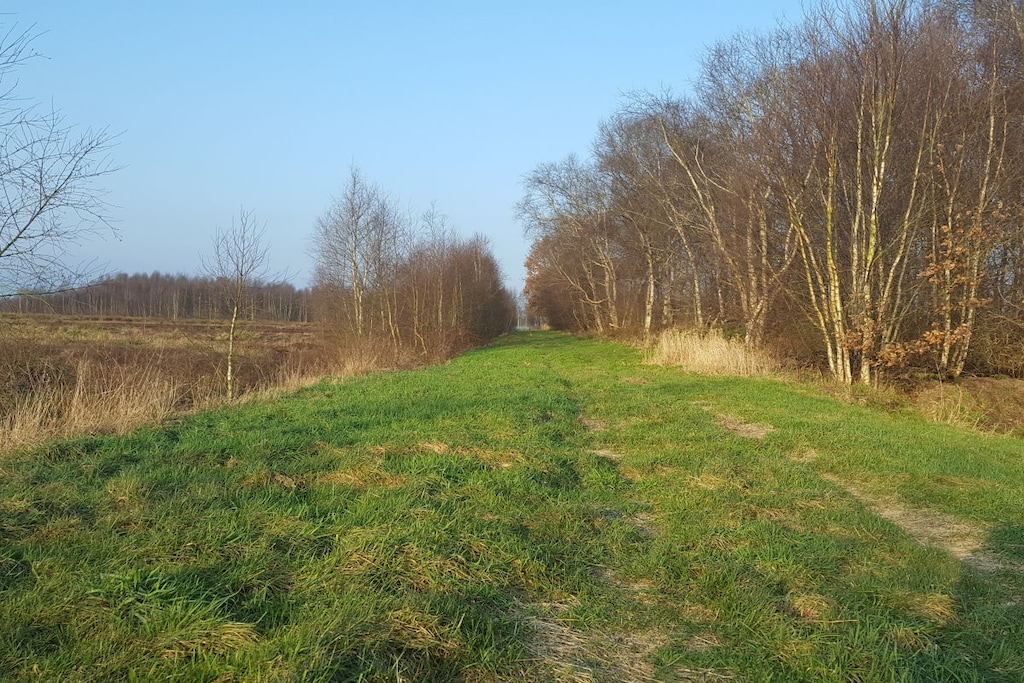 229614 - Niet-getagd