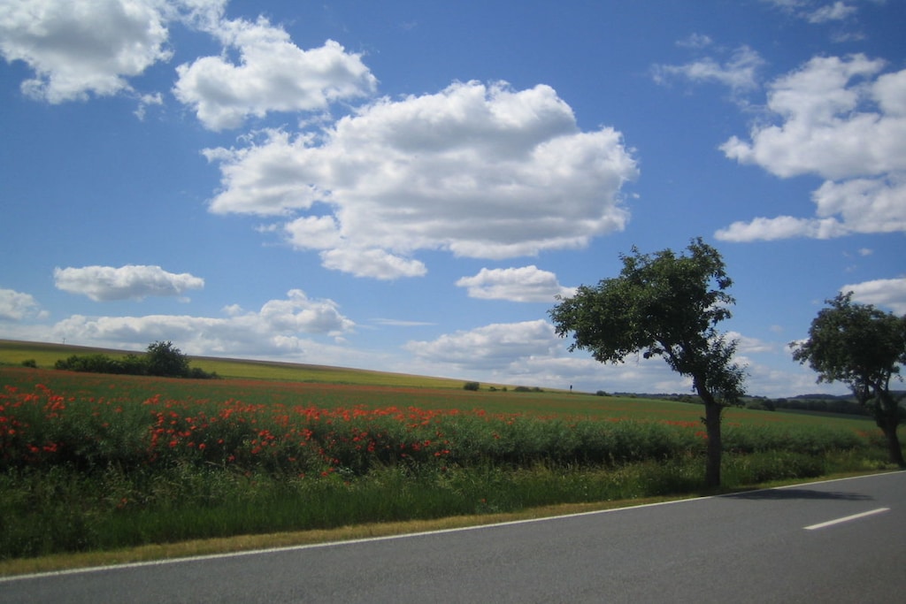 260051 - Niet-getagd