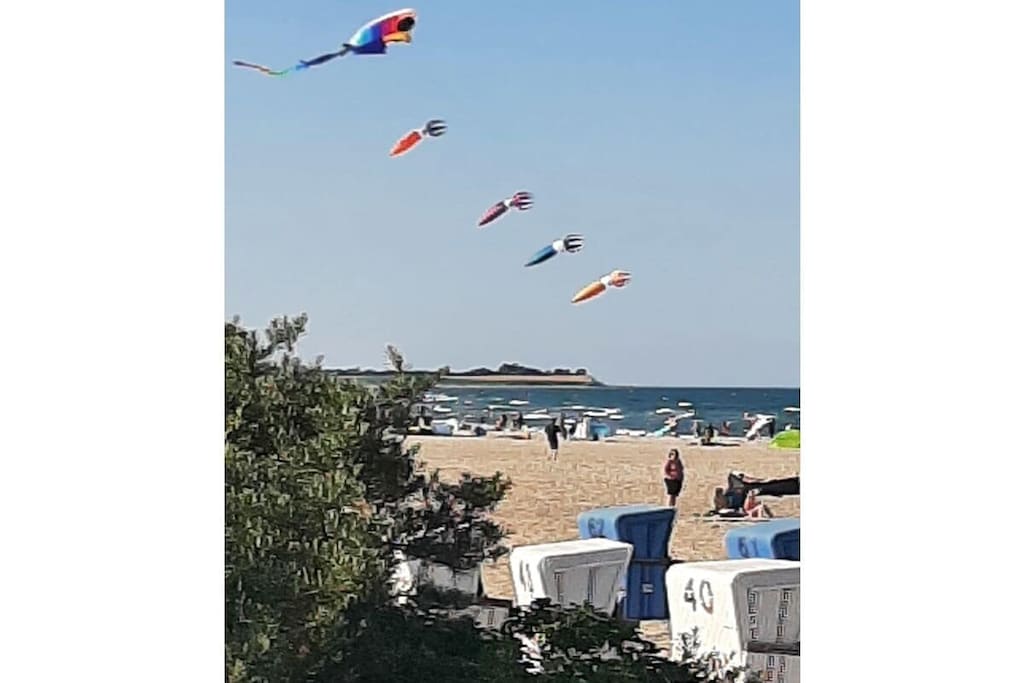 480496 - Niet-getagd
