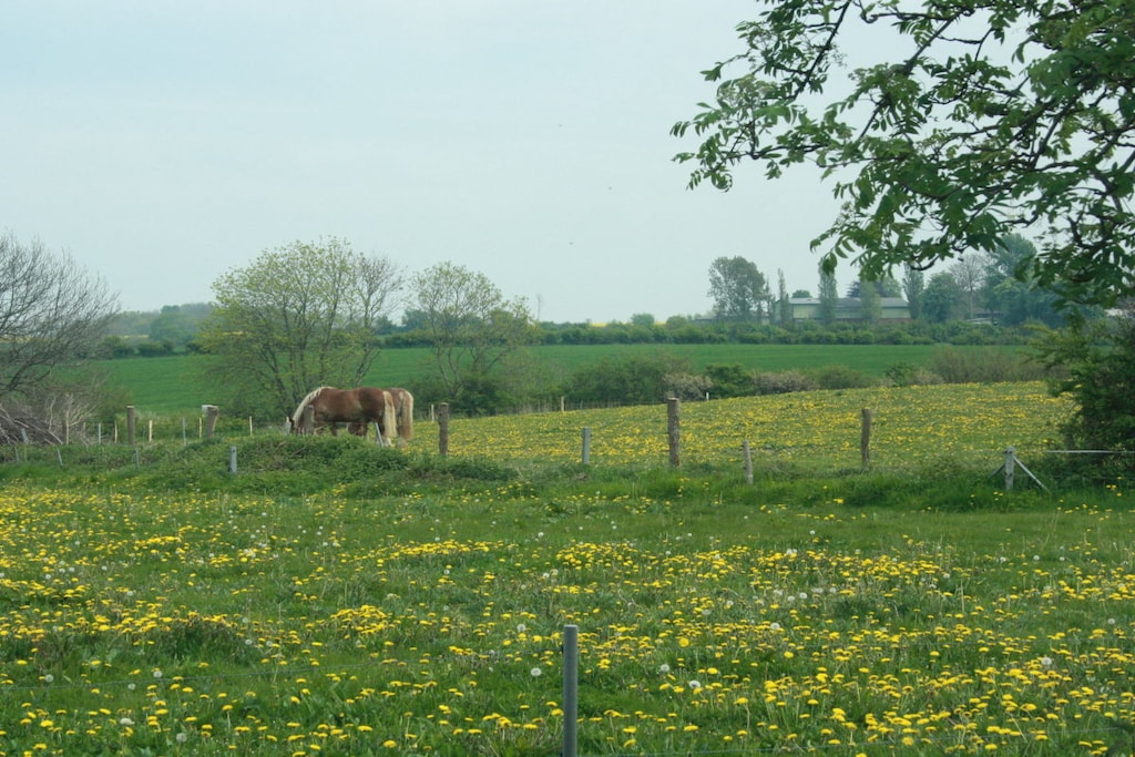 43233 - Niet-getagd