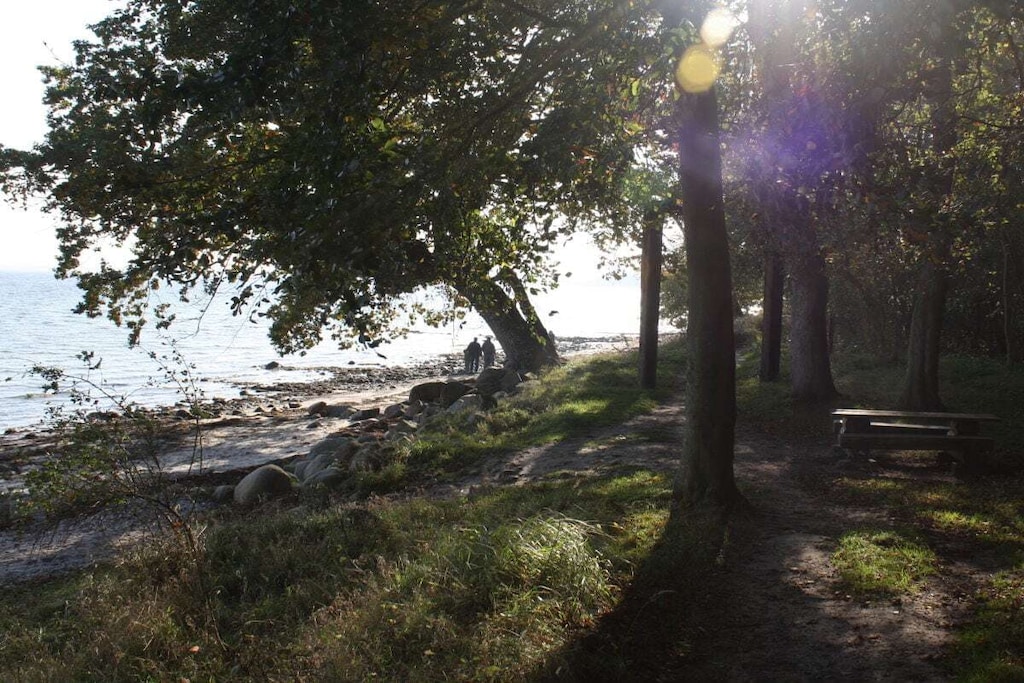 7197 - Niet-getagd