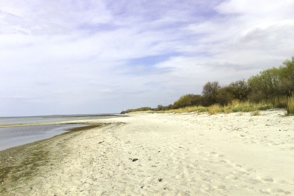 62499 - Niet-getagd