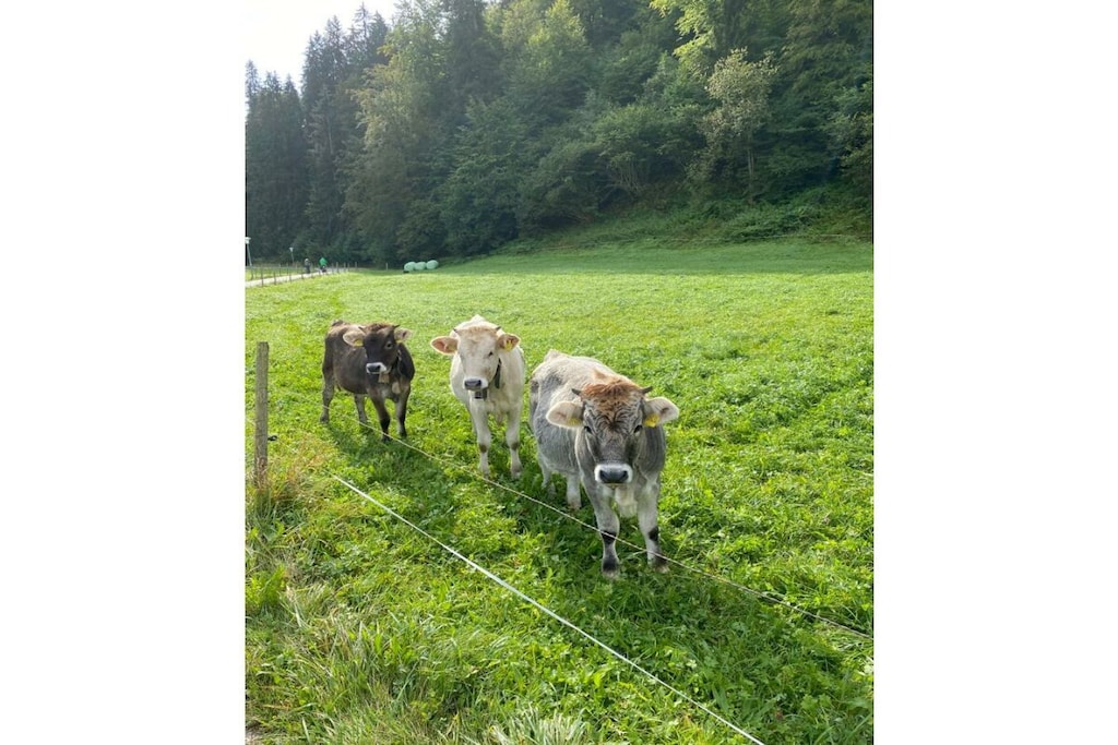 296446 - Nicht zugeordnet