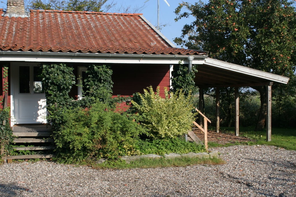 83202 - Niet-getagd