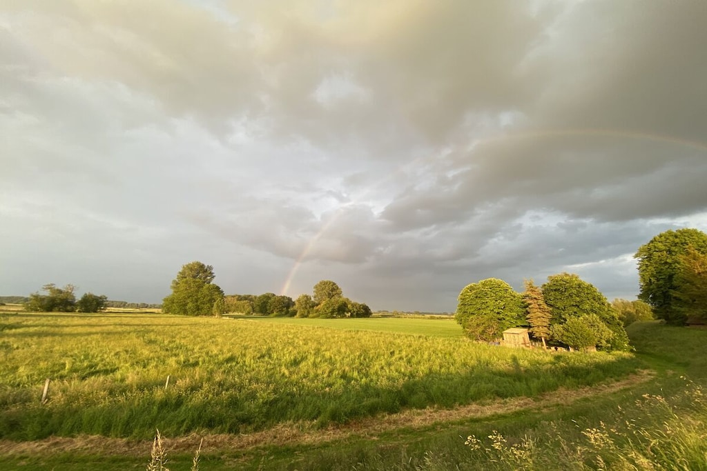 25541 - Niet-getagd