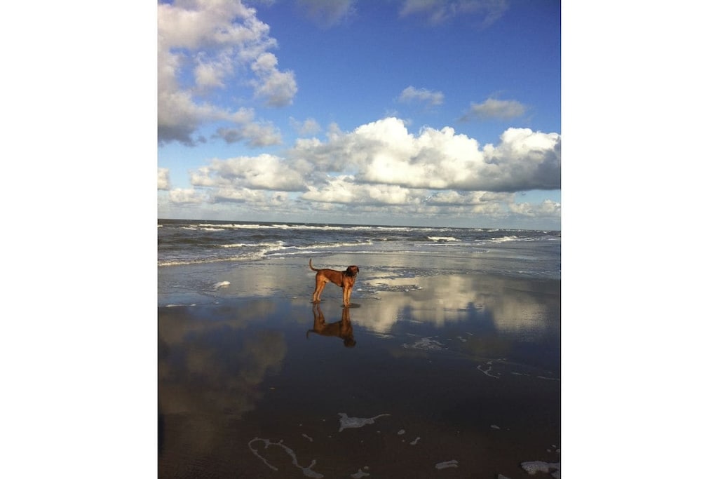 98644 - Niet-getagd