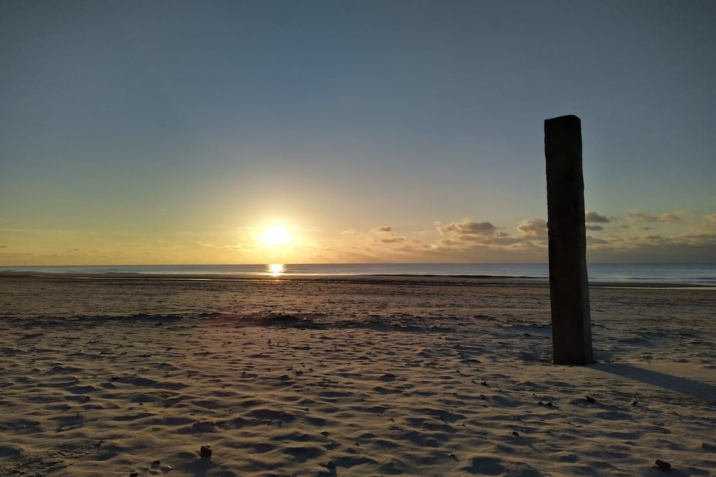 230200 - Niet-getagd