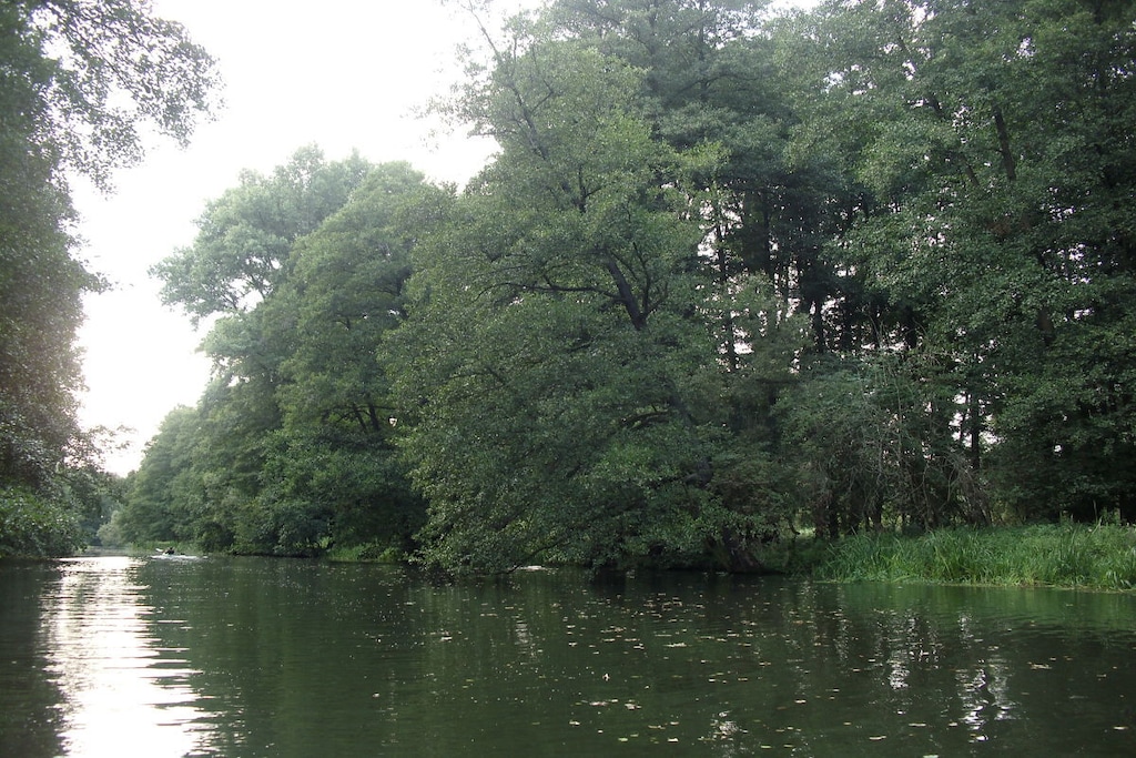112712 - Niet-getagd