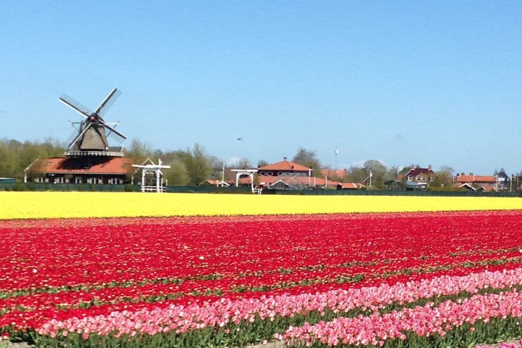72590 - Niet-getagd