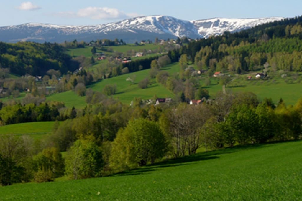 118951 - Nicht zugeordnet