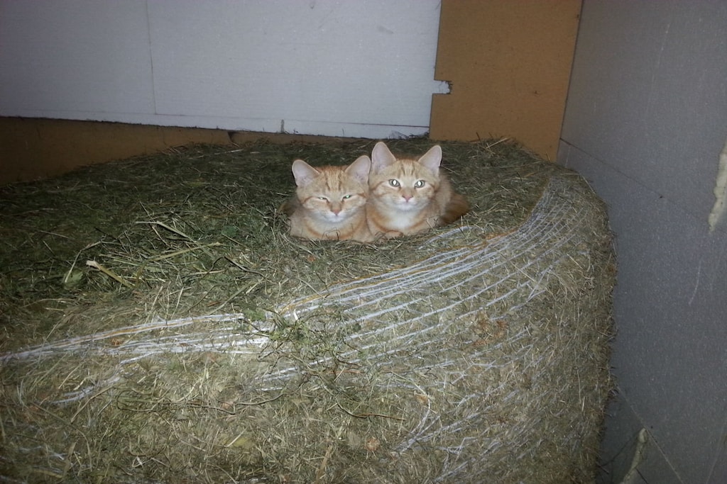 130108 - Niet-getagd