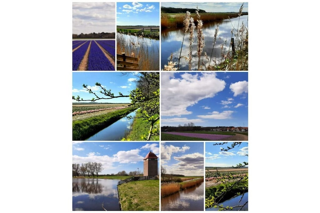 719136 - Niet-getagd