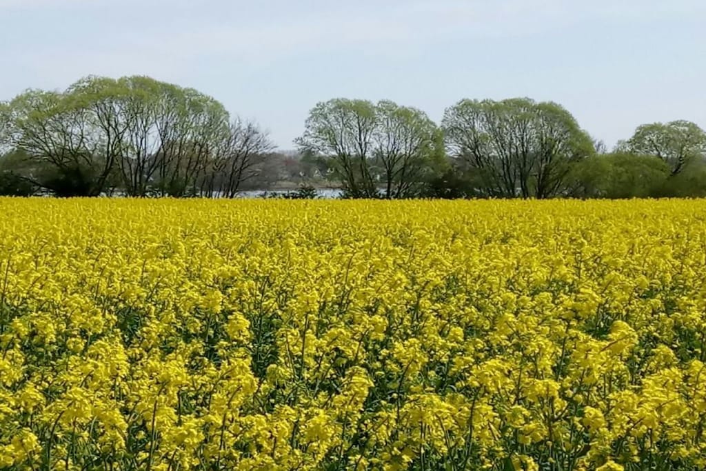 134835 - Niet-getagd
