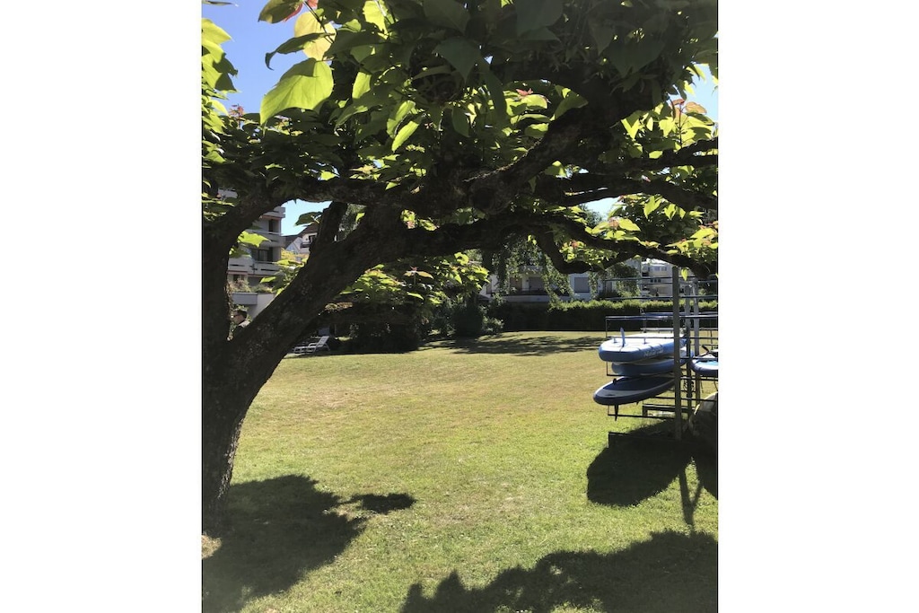288366