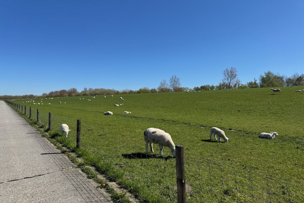 269644 - Niet-getagd