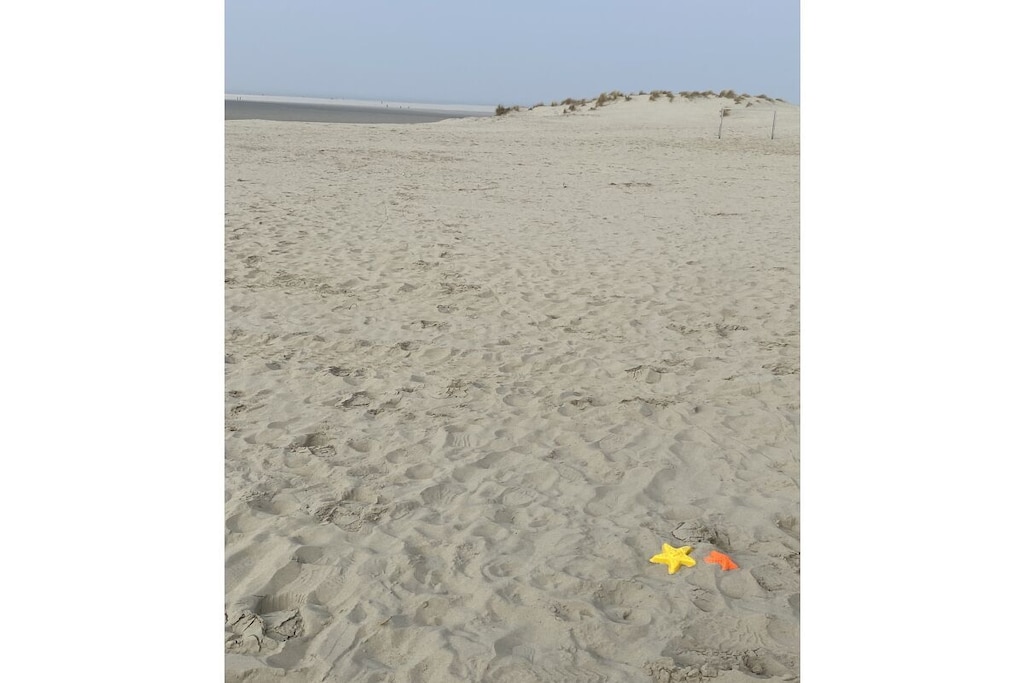 21383 - Niet-getagd