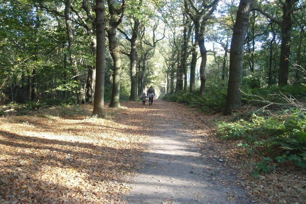 121931 - Niet-getagd
