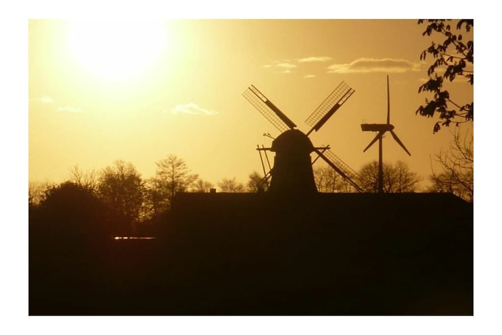 786616 - Niet-getagd