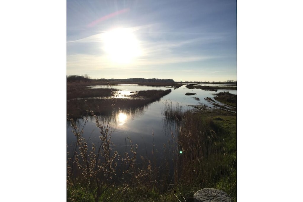 98209 - Niet-getagd