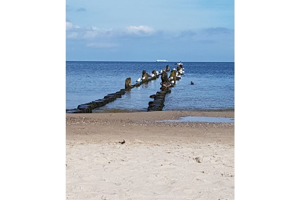 141157 - Niet-getagd