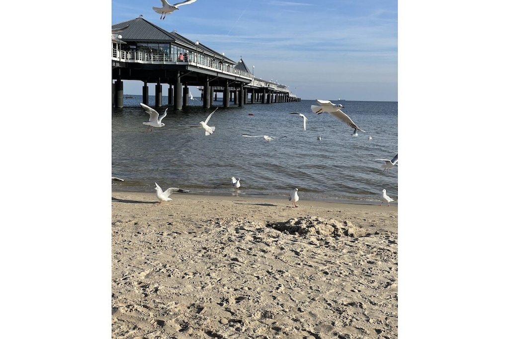 141157 - Niet-getagd