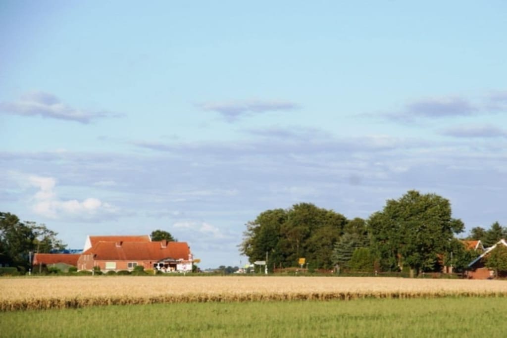 108696 - Niet-getagd