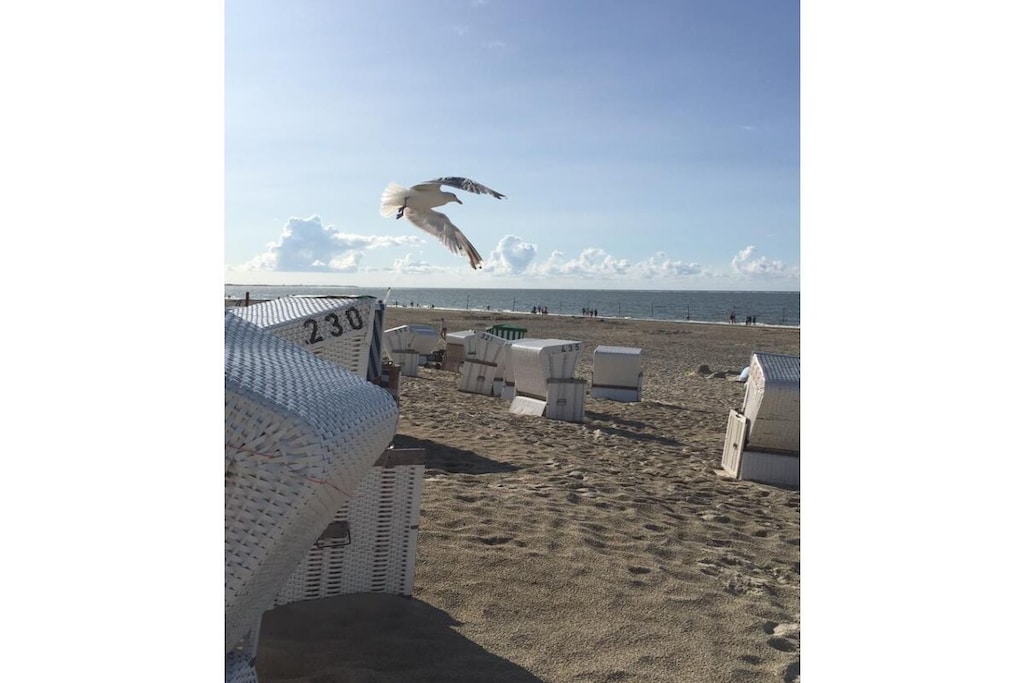 283949 - Niet-getagd