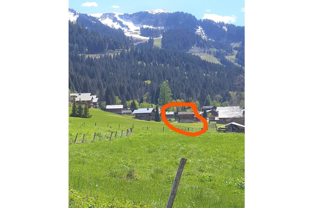 774041 - Niet-getagd