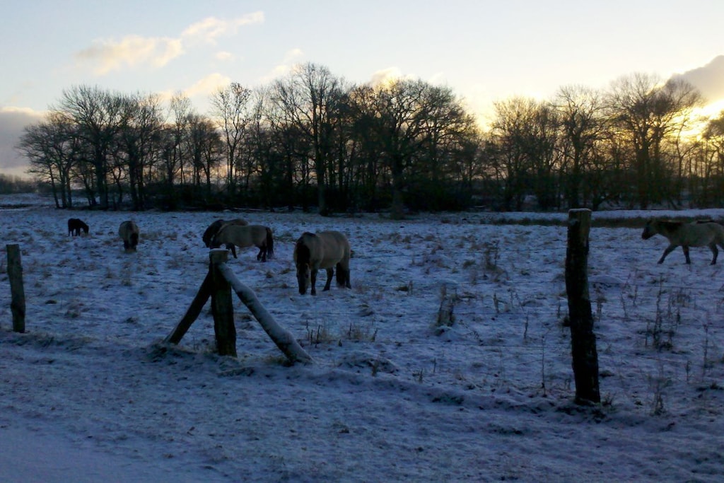 127986 - Niet-getagd