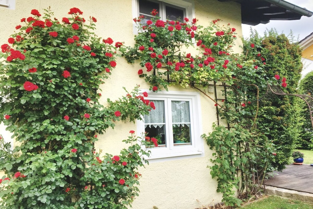 580641 - Nicht zugeordnet