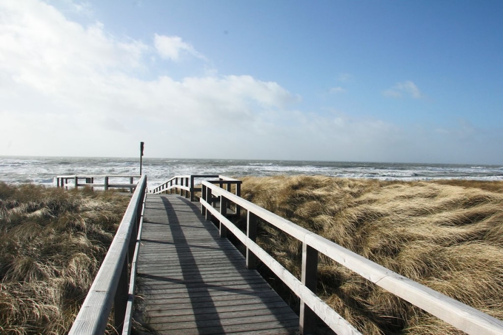 52513 - Niet-getagd