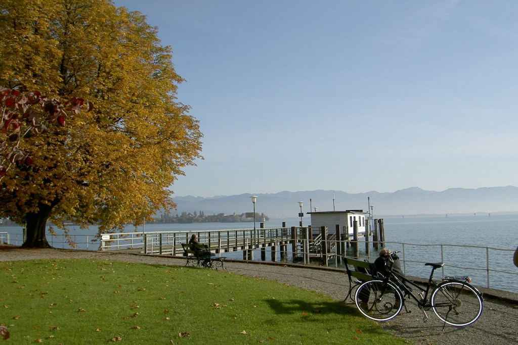 206100 - Nicht zugeordnet