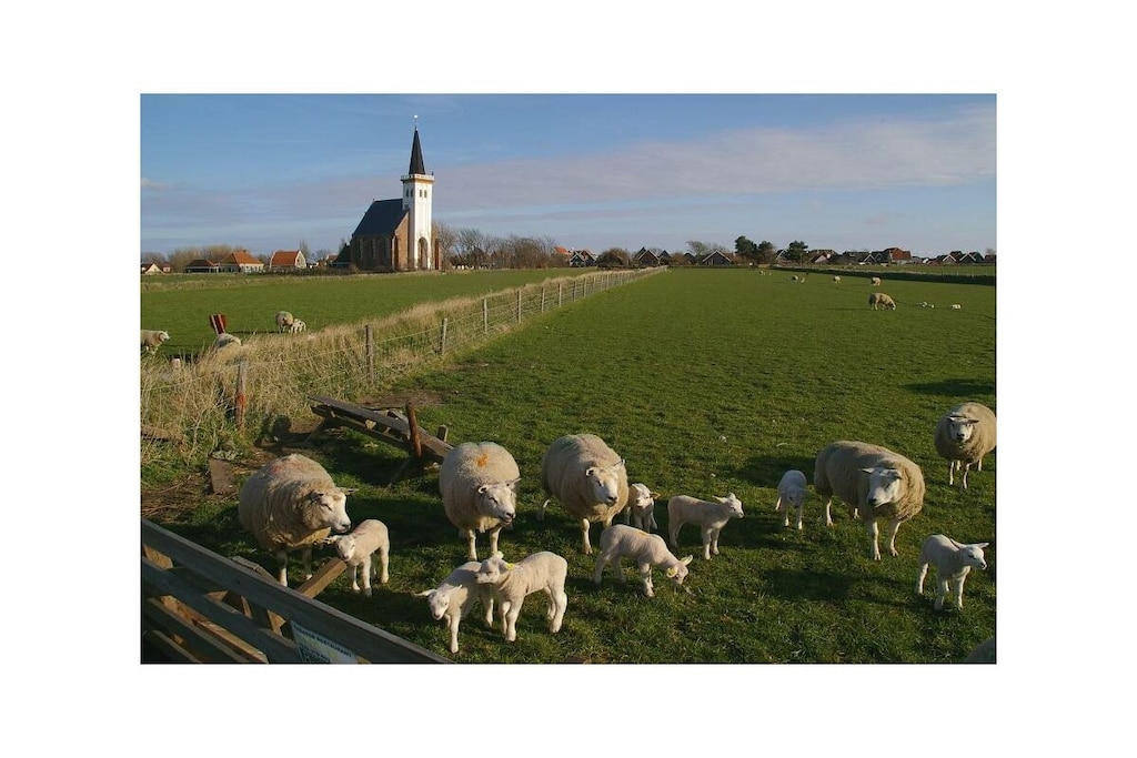 426417 - Niet-getagd