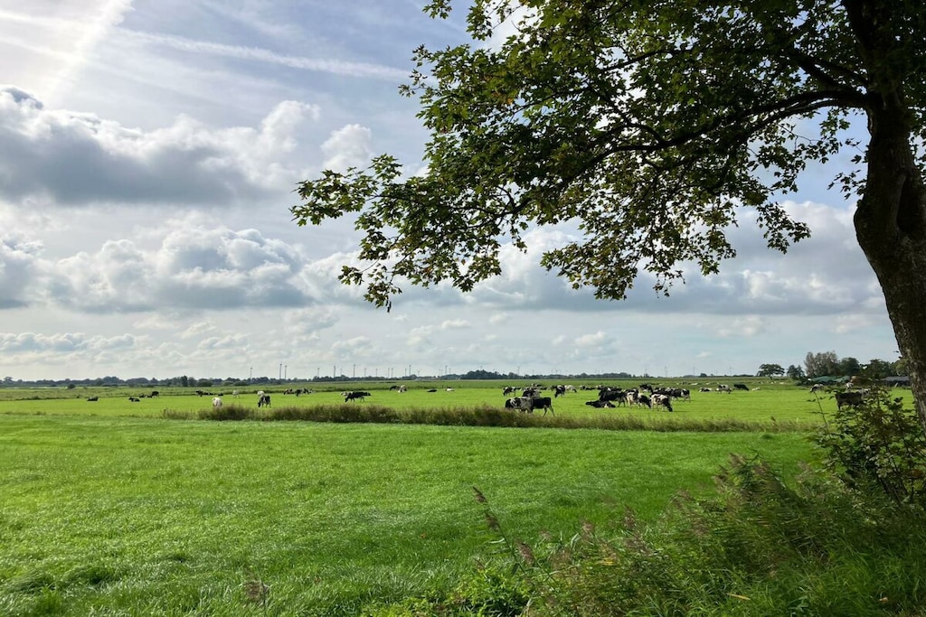 482617 - Niet-getagd