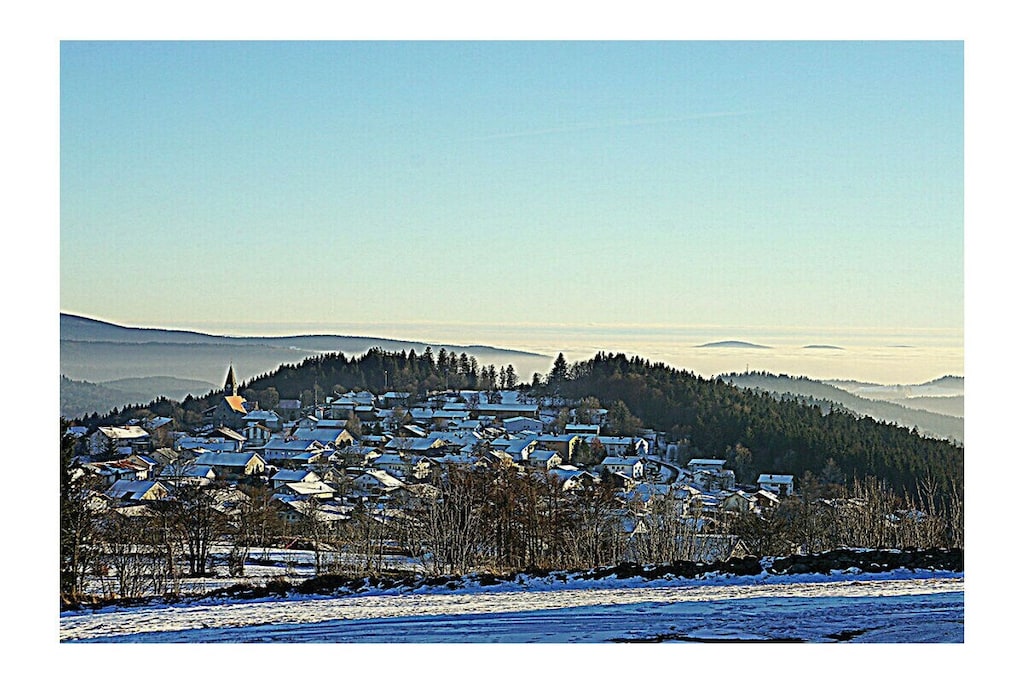 17337 - Nicht zugeordnet