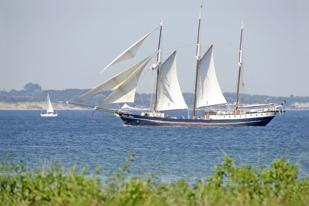 259534 - Non tagué