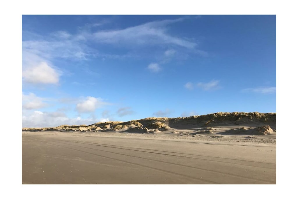 77034 - Niet-getagd