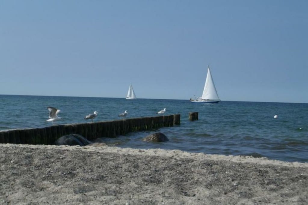 319665 - Niet-getagd