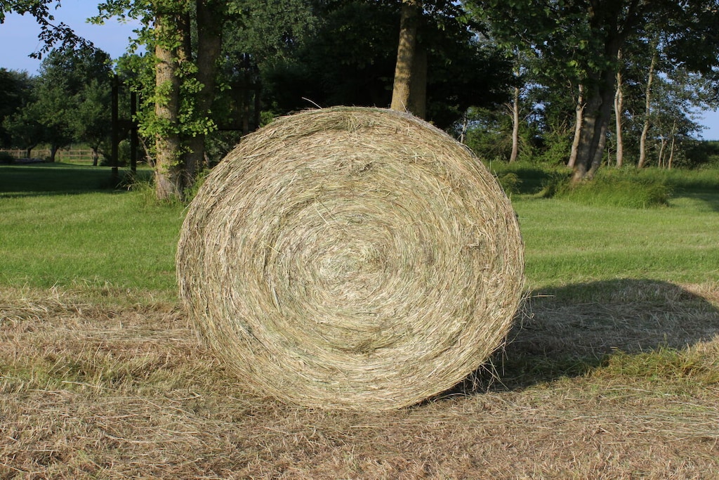 408584 - Niet-getagd