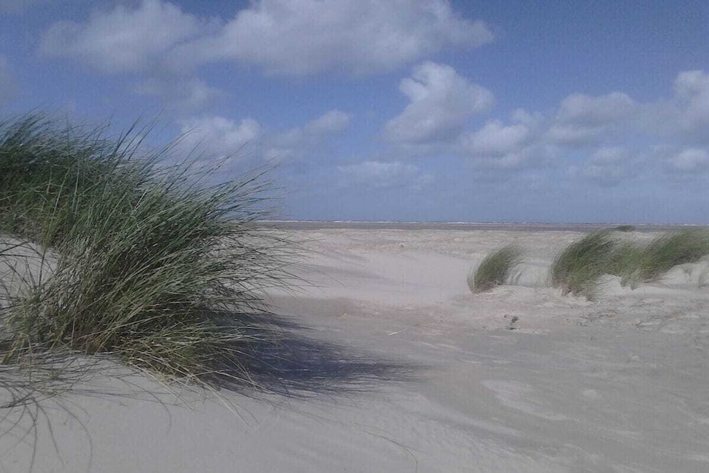 290040 - Niet-getagd