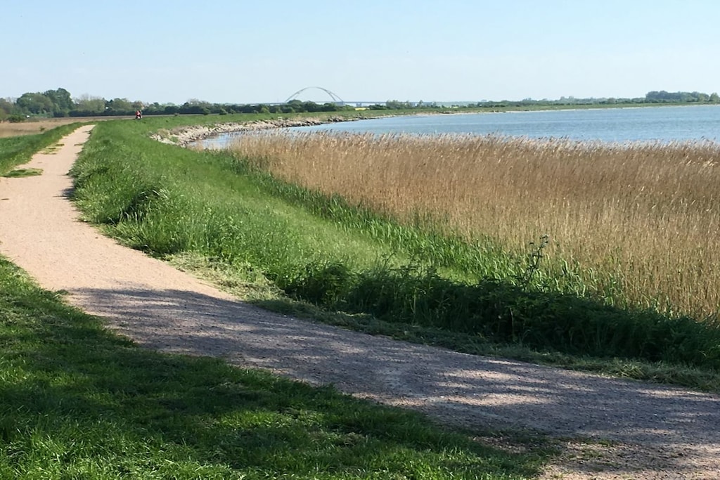 252669 - Niet-getagd