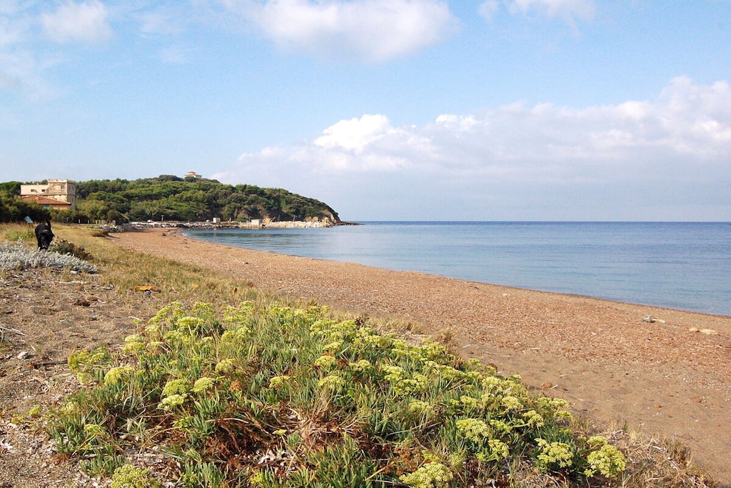 541421 - Niet-getagd