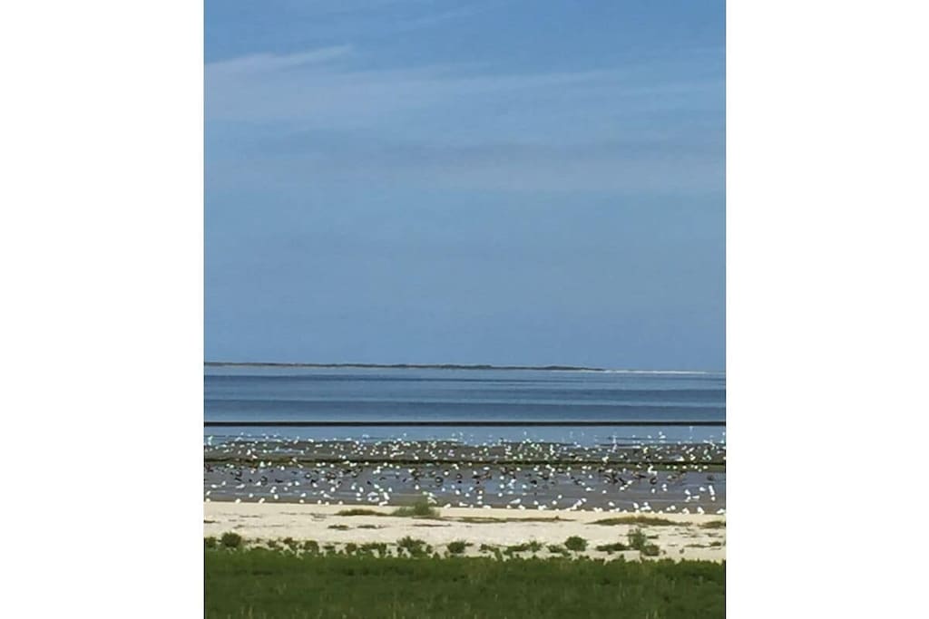 75815 - Niet-getagd