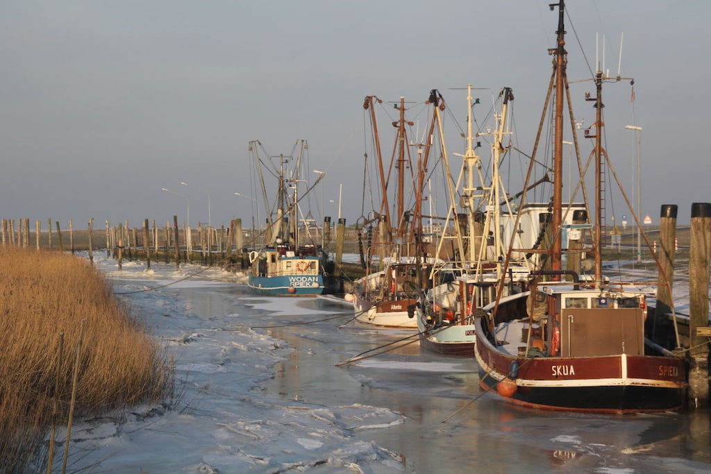 263002 - Niet-getagd