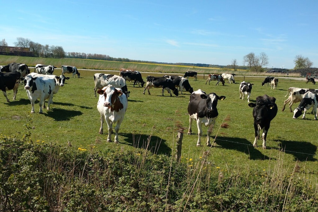 381684 - Niet-getagd