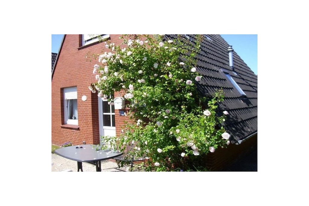 481519 - Niet-getagd